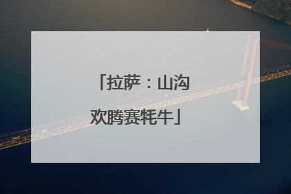 拉萨：山沟欢腾赛牦牛