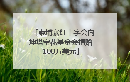柬埔寨红十字会向坤塔宝花基金会捐赠100万美元