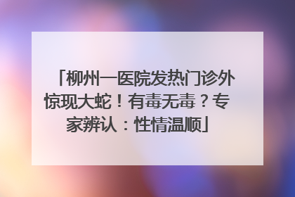 柳州一医院发热门诊外惊现大蛇！有毒无毒？专家辨认：性情温顺