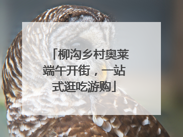 柳沟乡村奥莱端午开街，一站式逛吃游购