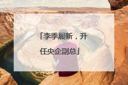 李季履新，升任央企副总