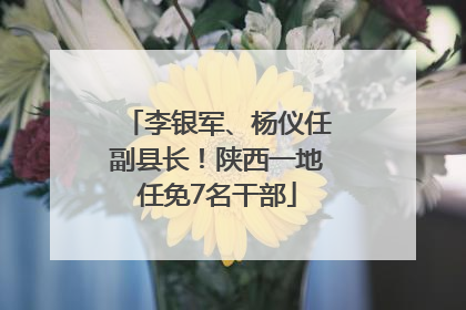 李银军、杨仪任副县长！陕西一地任免7名干部