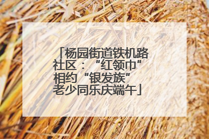 杨园街道铁机路社区：“红领巾”相约“银发族” 老少同乐庆端午