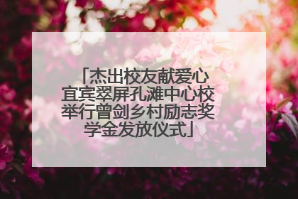 杰出校友献爱心 宜宾翠屏孔滩中心校举行曾剑乡村励志奖学金发放仪式