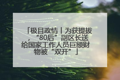 极目政情丨为获提拔，“80后”副区长送给国家工作人员巨额财物被“双开”