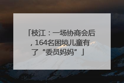 枝江：一场协商会后，164名困境儿童有了“委员妈妈”