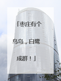 枣庄有个鸟岛，白鹭成群！