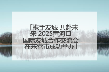 携手友城 共赴未来 2025黄河口国际友城合作交流会在东营市成功举办