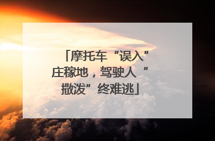 摩托车“误入”庄稼地，驾驶人“撒泼”终难逃