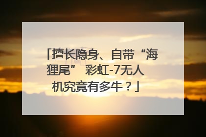 擅长隐身、自带“海狸尾” 彩虹-7无人机究竟有多牛？