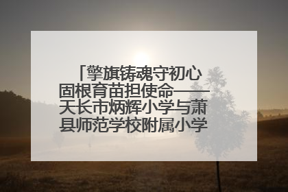 擎旗铸魂守初心 固根育苗担使命——天长市炳辉小学与萧县师范学校附属小学结对共建活动纪实