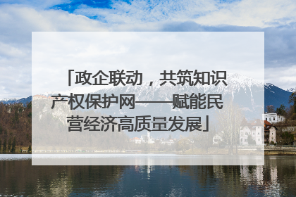 政企联动，共筑知识产权保护网——赋能民营经济高质量发展