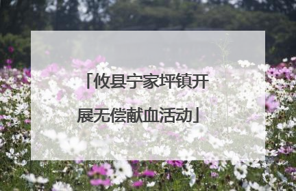 攸县宁家坪镇开展无偿献血活动
