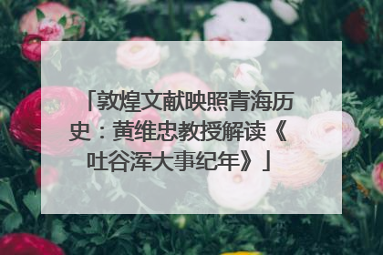 敦煌文献映照青海历史：黄维忠教授解读《吐谷浑大事纪年》