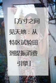 方寸之间见天地：从特区试验田到提振消费引擎