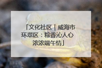 文化社区｜威海市环翠区：粽香沁人心 浓浓端午情