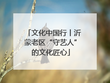 文化中国行丨沂蒙老区“守艺人”的文化匠心