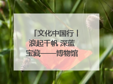文化中国行丨浪起千帆 深蓝宝藏——博物馆里的海丝遗珍