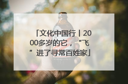 文化中国行丨2000多岁的它，“飞”进了寻常百姓家