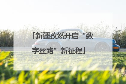新疆孜然开启“数字丝路”新征程