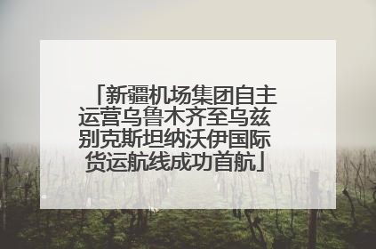 新疆机场集团自主运营乌鲁木齐至乌兹别克斯坦纳沃伊国际货运航线成功首航
