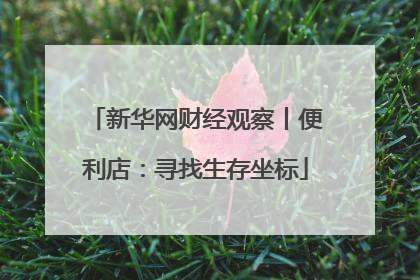 新华网财经观察丨便利店：寻找生存坐标
