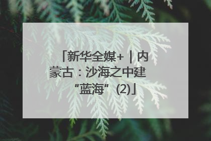 新华全媒+｜内蒙古：沙海之中建“蓝海”(2)