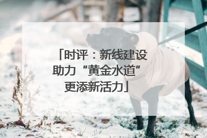 时评：新线建设助力“黄金水道”更添新活力