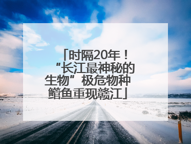 时隔20年！“长江最神秘的生物”极危物种鳤鱼重现赣江