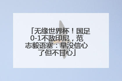 无缘世界杯！国足0-1不敌印尼，范志毅语塞：早没信心了但不甘心