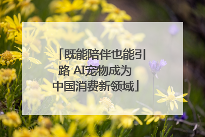 既能陪伴也能引路 AI宠物成为中国消费新领域