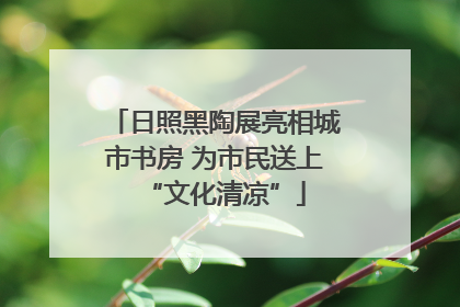 日照黑陶展亮相城市书房 为市民送上“文化清凉”