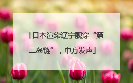 日本渲染辽宁舰穿“第二岛链”，中方发声