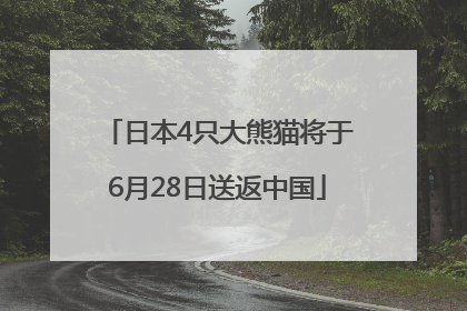 日本4只大熊猫将于6月28日送返中国