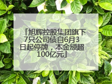 旭辉控股集团旗下7只公司债自6月3日起停牌，本金额超100亿元