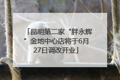 昆明第二家“胖永辉”金地中心店将于6月27日调改开业