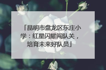 昆明市盘龙区东庄小学：红星闪耀闯队关，培育未来好队员