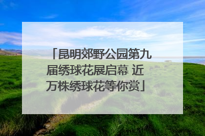 昆明郊野公园第九届绣球花展启幕 近万株绣球花等你赏