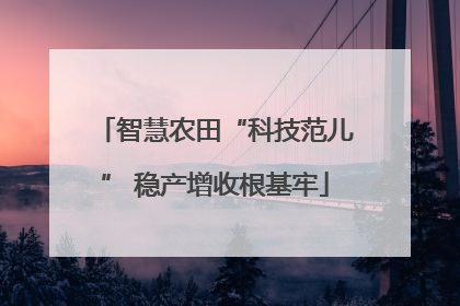 智慧农田“科技范儿” 稳产增收根基牢