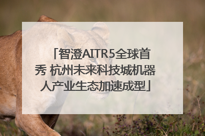 智澄AITR5全球首秀 杭州未来科技城机器人产业生态加速成型