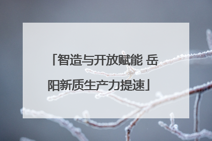 智造与开放赋能 岳阳新质生产力提速