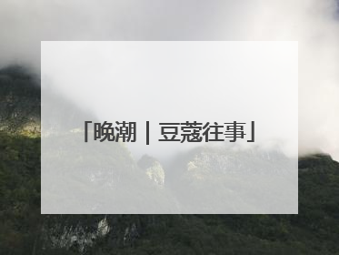 晚潮｜豆蔻往事