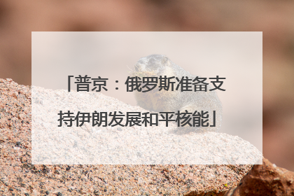 普京：俄罗斯准备支持伊朗发展和平核能