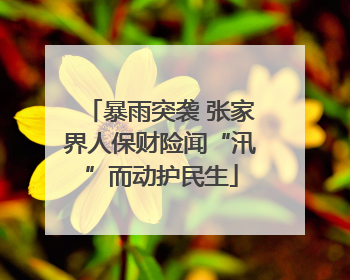 暴雨突袭 张家界人保财险闻“汛”而动护民生