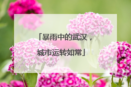 暴雨中的武汉，城市运转如常