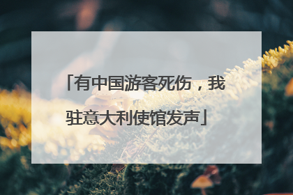 有中国游客死伤，我驻意大利使馆发声