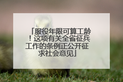 服役年限可算工龄！这项有关全省征兵工作的条例正公开征求社会意见