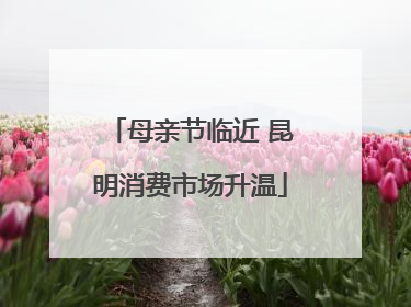 母亲节临近 昆明消费市场升温