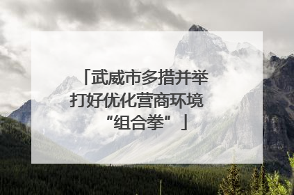 武威市多措并举打好优化营商环境“组合拳”