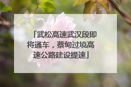 武松高速武汉段即将通车，蔡甸过境高速公路建设提速